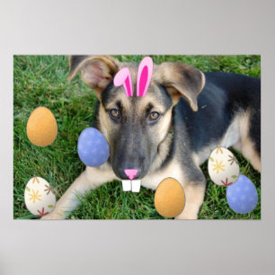 German Shepherd Easter Puppy Poster