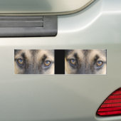 German Shepherd Eyes Autoaufkleber (Auf Auto)