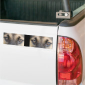 German Shepherd Eyes Autoaufkleber (Auf Lkw)