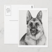 German Shepherd Fine Art Postkarte (Vorne/Hinten)