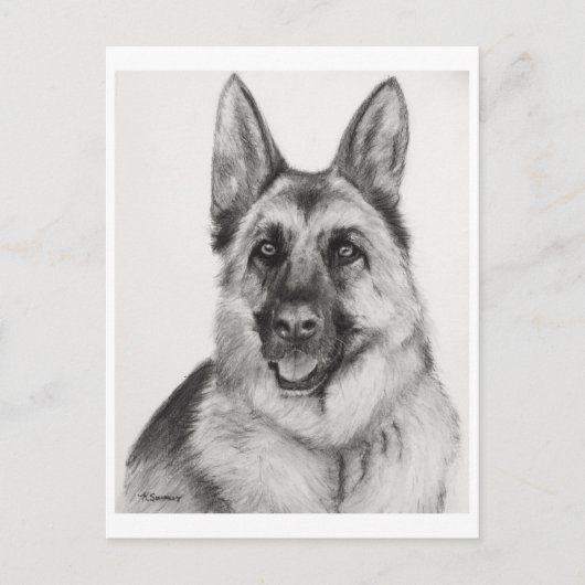 German Shepherd Fine Art Postkarte (Vorderseite)