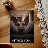 German Shepherd Get Well Postcard Postkarte