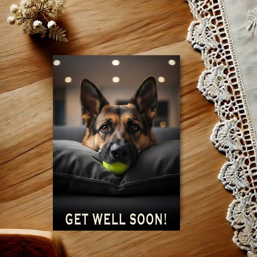 German Shepherd Get Well Postcard Postkarte