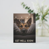 German Shepherd Get Well Postcard Postkarte (Stehend Vorderseite)