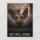 German Shepherd Get Well Postcard Postkarte (Vorderseite)