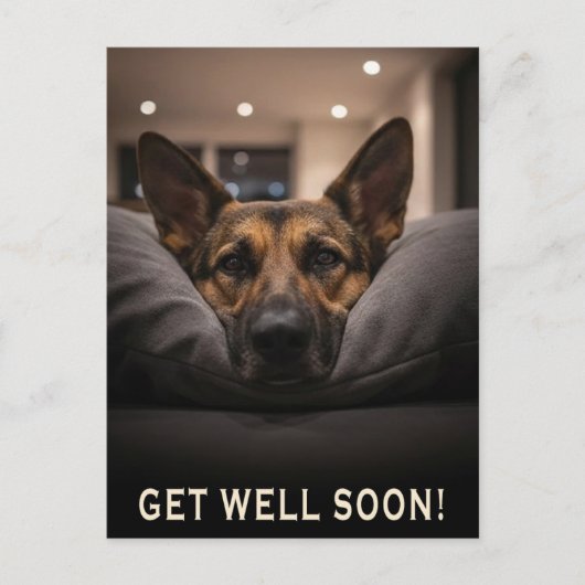 German Shepherd Get Well Postcard Postkarte (Vorderseite)