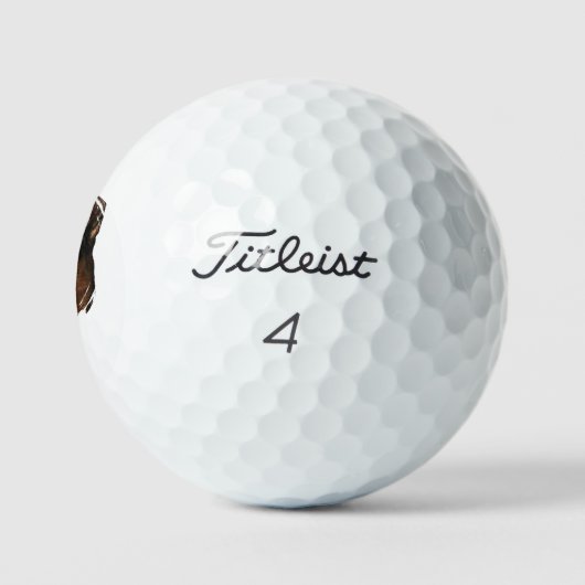 German Shepherd Golfball (Logo)