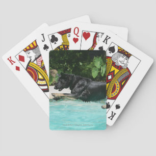 German Shepherd Jumping in Water Spielkarten