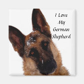German Shepherd Magnet (Vorne)