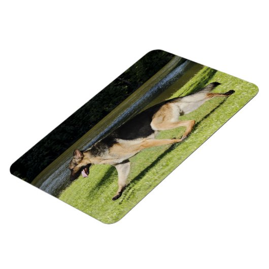 German Shepherd Magnet (Linke Seite)