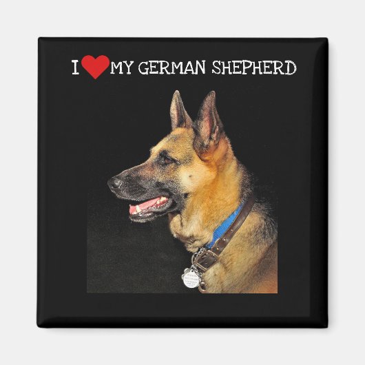German Shepherd Magnet (Vorne)