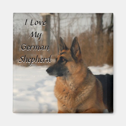 German Shepherd Magnet (Vorne)