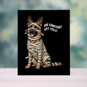 German Shepherd Mummy Halloween Dog Acrylschild (Neutral)