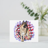 German Shepherd Patriot Postkarte (Stehend Vorderseite)