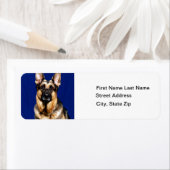 German Shepherd Portrait (Insitu)