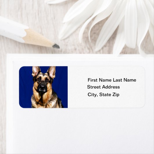 German Shepherd Portrait (Insitu)