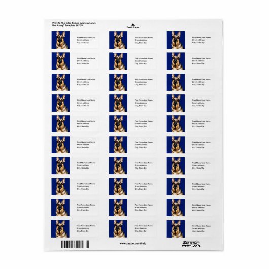 German Shepherd Portrait (Vorne)