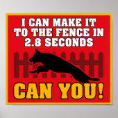 German Shepherd Poster (Vorne)