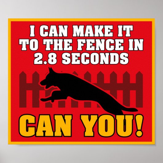 German Shepherd Poster (Vorne)