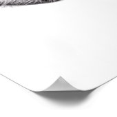 German Shepherd Poster (Ecke)