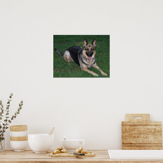 German Shepherd Poster (Küche)