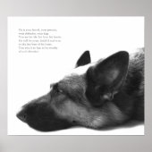 German Shepherd Poster (Vorne)