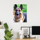 German Shepherd Poster (Heimbüro)