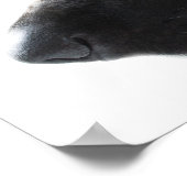 German Shepherd Poster (Ecke)