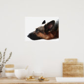 German Shepherd Poster (Küche)