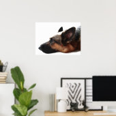 German Shepherd Poster (Heimbüro)