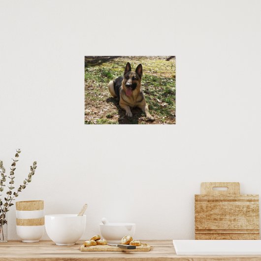 German Shepherd Poster (Küche)