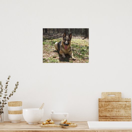 German Shepherd Poster (Küche)