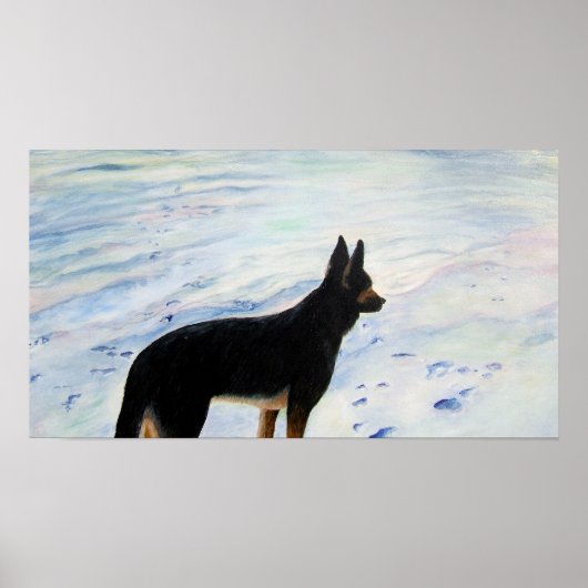 German Shepherd Poster (Vorne)