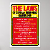 German Shepherd Poster (Vorne)