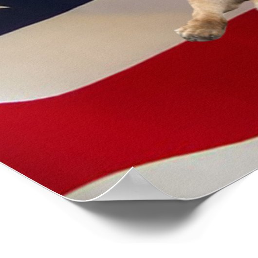 German Shepherd Print Poster (Ecke)