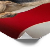 German Shepherd Print Poster (Ecke)