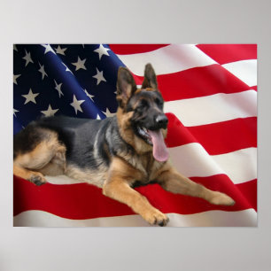 German Shepherd Print Poster