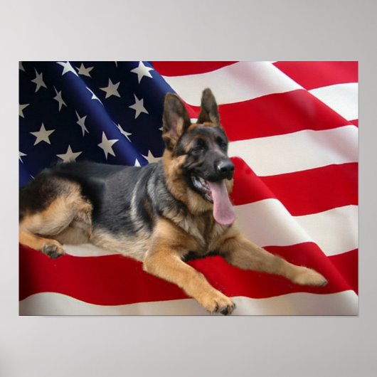 German Shepherd Print Poster (Vorne)