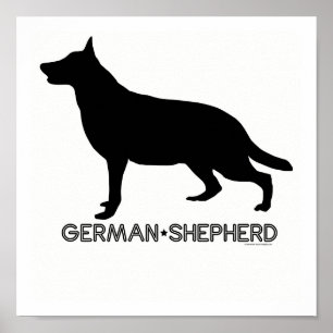 German Shepherd Print Poster