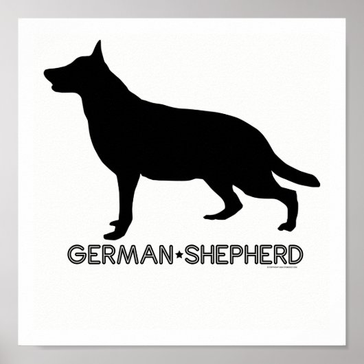 German Shepherd Print Poster (Vorne)