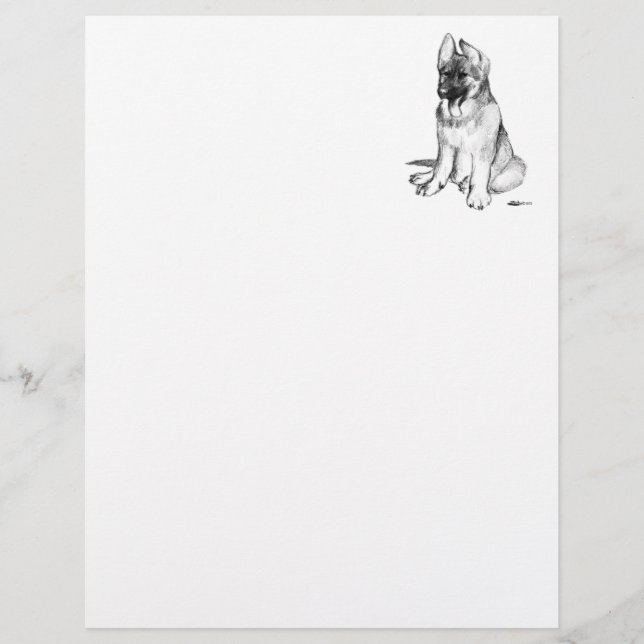 German Shepherd Puppy (Vorderseite)