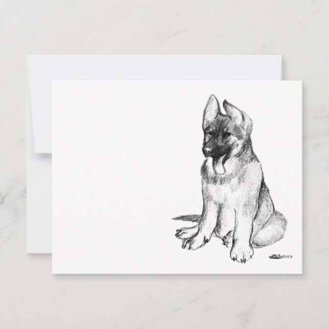 German Shepherd Puppy (Vorderseite)