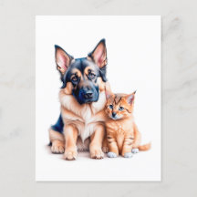 German Shepherd Puppy And Maincoon Kitten
