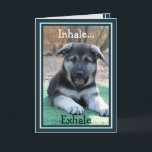 German Shepherd Puppy Funny Birthday Card Karte<br><div class="desc">Diese lustige Geburtstagskarte zeigt unseren bezaubernden deutschen Shepherd-Welpen mit dem Namen Myla.  Myla hat ihren Mund auf komische Weise geöffnet,  während sie den Empfänger dieser Karte anweist zu "Inhalieren... Exhale."  In der Nachricht heißt es: "Es ist nur ein weiterer Geburtstag.  Jetzt,  los und viel Spaß!  Alles Gute zum Geburtstag."</div>