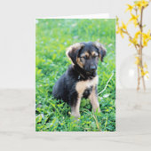 German Shepherd Puppy Karte (Gelbe Blume)