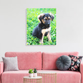 German Shepherd Puppy Leinwanddruck (Insitu (Wohnzimmer))