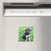 German Shepherd Puppy Magnet (In Situ (Geschirrspüler))