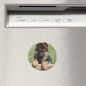 German Shepherd Puppy Magnet (In Situ (Geschirrspüler))