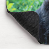 German Shepherd Puppy Mousepad (Ecke)