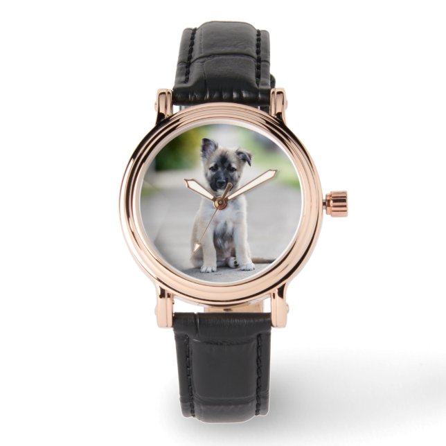 German Shepherd Puppy on Footpath Armbanduhr (Vorderseite)